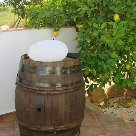 B&B Finca La Manchica Cartagena Exterior photo